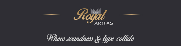 Royal Akitas